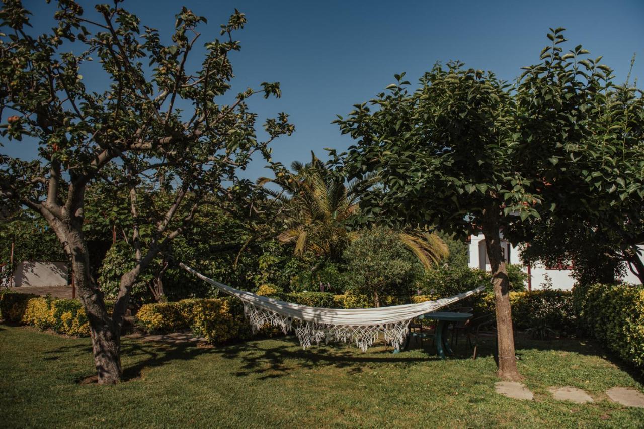 Villa Casa De Marlaes Lousada Exterior foto