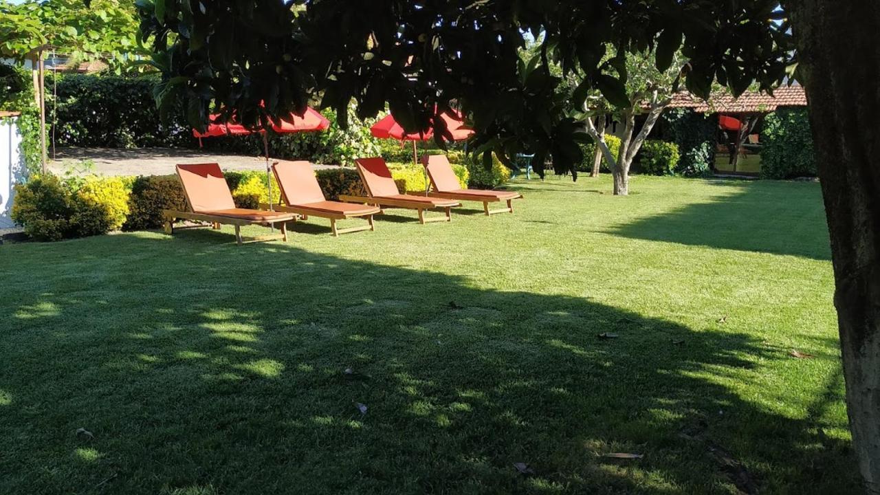 Villa Casa De Marlaes Lousada Exterior foto